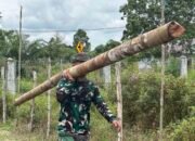 Satgas TMMD Kodim 1012/Buntok Angkut Material Kandang Ayam Potong Dukung Ketahanan Pangan