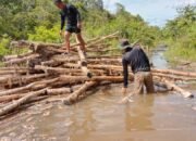 Satgas TMMD Ke-124 Kodim 1012/Buntok Angkut Kayu untuk Badan Jalan