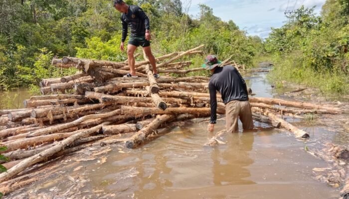 Satgas TMMD Ke-124 Kodim 1012/Buntok Angkut Kayu untuk Badan Jalan
