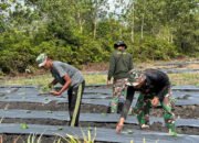 Anggota Satgas TMMD Ke-124 Laksanakan Penanaman Bibit