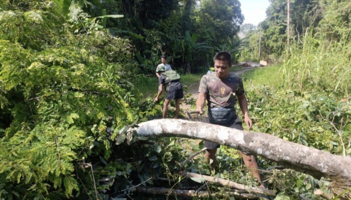 Satgas TMMD bersama Warga Bersihkan Pohon Halangi Jalan