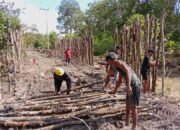 Gotong Royong Warnai Pemasangan Cerucuk Jalan TMMD Kodim 1012/Buntok