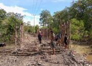 Sinergi Satgas, Warga, dan Alat Berat Warnai Pembangunan Jalan TMMD di Desa Talio