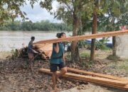 Jalur Jalan Terjal, Satgas TMMD Kodim 1012/Buntok Harus Memanggul Kayu untuk Menuju Lokasi Kegiatan