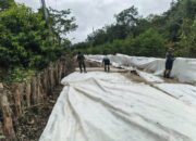 Penggunaan Geotekstil Jadi Solusi Kestabilan Tanah di Lokasi TMMD Kodim 1012/Buntok