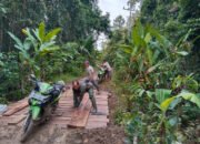 Satgas TMMD Kodim 1012/Buntok dan Warga Gotong Royong Bangun Jembatan Penghubung di Desa Talio