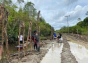 Ratusan Cerucuk Sudah Tertancap, Satgas TMMD 1012/Buntok Terus Perkuat Struktur Jalan