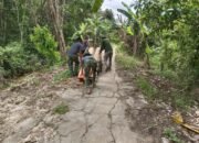 Semangat Tanpa Henti, Satgas TMMD Kodim 1012/Buntok Angkut Papan dengan Gerobak