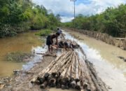 Satgas TMMD dan Warga Bersama-sama Siapkan Kayu untuk Cerucuk Pembukaan Jalan di Desa Talio