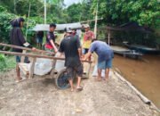 Gerobak Kayu Jadi Andalan Angkut Batu untuk Pembangunan di Desa Wungkur Baru