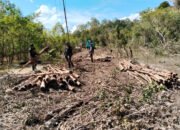 Semangat Satgas TMMD Kodim 1012/Buntok Angkut Cerucuk ke Jalan Desa Talio Tak Pernah Surut