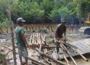 Satgas TMMD Kodim 1012/Buntok Lakukan Pemotongan Cerucuk untuk Jalan Penghubung Desa Talio