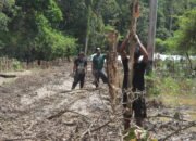 Pasang Cerucuk Terus Dilakukan, Satgas TMMD Kejar Target Pembangunan Fisik