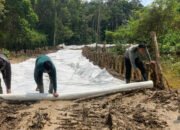 Satgas TMMD Terus Pasang Geotekstil Di Jalan Desa, Percepat Pengerjaan Infrastruktur