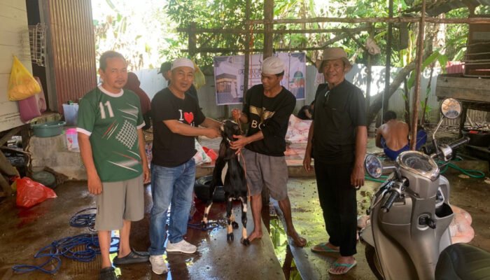 Program CSR, PT MUTU Salurkan Hewan Kurban