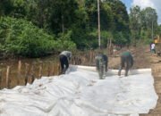 Pemasangan Geotex Memperkuat Jalan Desa Talio