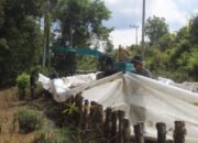 Satgas TMMD ke-124 Kebut Pemasangan Giotex di Jalan Desa Talio