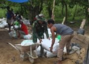 Satgas TMMD ke-124 Angkut Material dengan Arco, Wujudkan Rumah Layak di Desa Talio