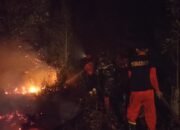 Pemerintah Pusat Diminta Mengambil Langkah Serius Tangani Karhutla