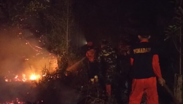 Pemerintah Pusat Diminta Mengambil Langkah Serius Tangani Karhutla