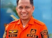 Titik Panas Akibat Kebakaran Hutan di Barsel Mulai Menurun