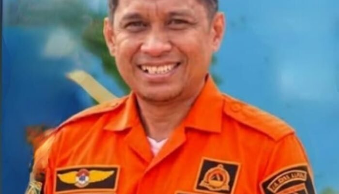 Titik Panas Akibat Kebakaran Hutan di Barsel Mulai Menurun